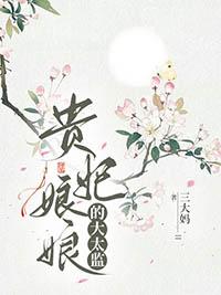 贵妃娘娘的大太监讲的什么