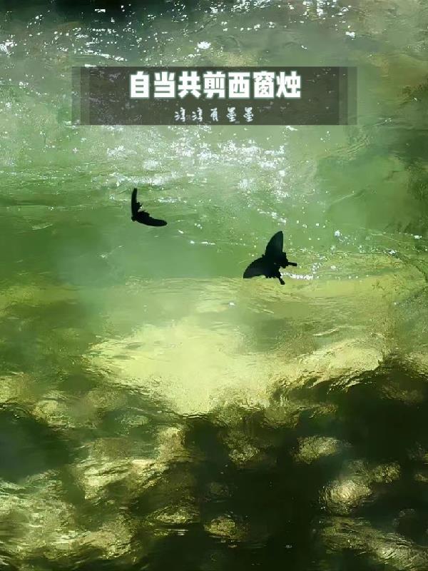 古诗何当共剪西窗烛