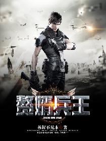 赘婿兵王在官场