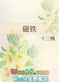 磁铁拼音