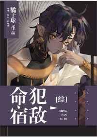 综命犯宿敌