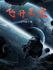 飞升了什么意思