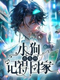 小狗狗跟着回家