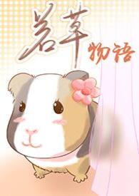若草物语日剧全集免费观看