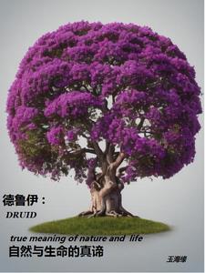 德鲁伊是啥
