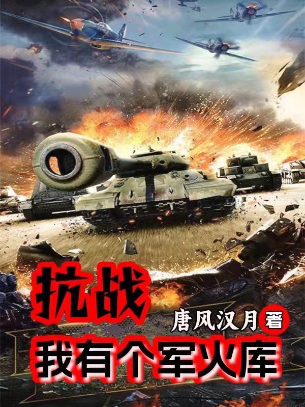 我有一个军火 库