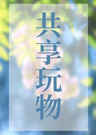 共享玩物(n)笔趣