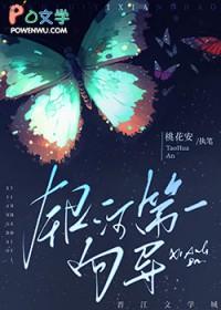银河第一向导桃花安笔趣