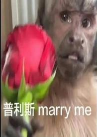 自我沉沦全文阅读陆温娴