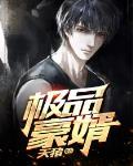 绝品豪婿全文免费阅读