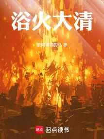 浴火大清笔趣