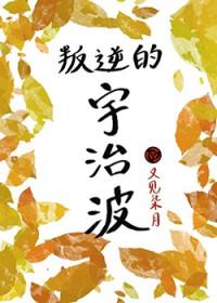 火影叛忍类