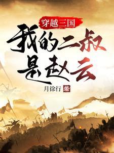我的二叔是赵云免费阅读