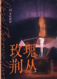 玫瑰荆棘abo