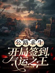 公路求生开局签到气运之王(良辰暖日)