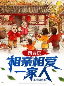 动画片四合院一家人