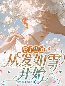 21款宝来带行车记录仪吗
