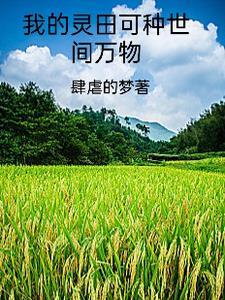 混沌灵源