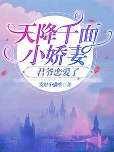 天降小妻霸道宠免费阅读全文免费阅读1390