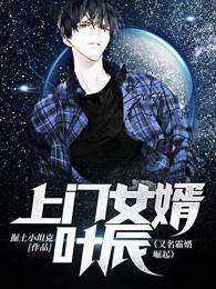 上门女婿叶辰全本免费阅读笔趣阁