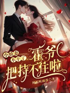 霍爷追妻路
