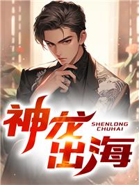 神龙出海互联网有限公司怎么样