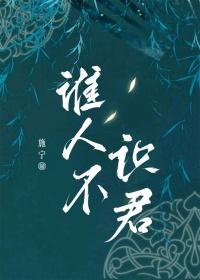 天下谁人不识君的上一句