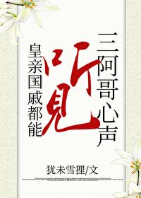 清穿阿哥的