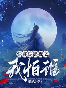 快穿综影视穿