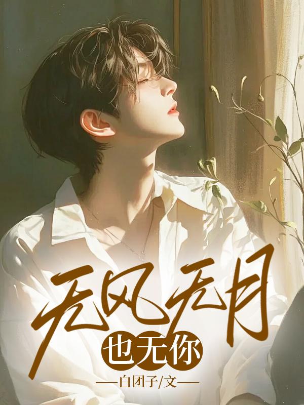 无风无月也无你宋栖月