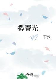 揽春光全文免费阅读无弹窗