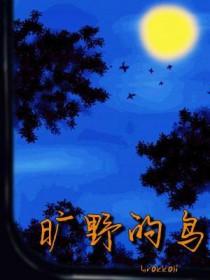 旷野的鸟歌词