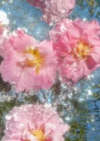 涉江采芙蓉拼音