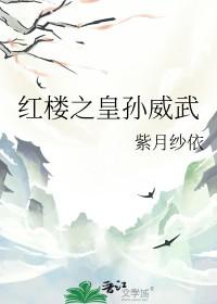 红楼之皇长孙婚恋史格格党