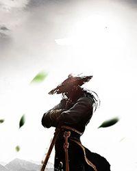女武神dl