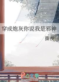 穿成炮灰是指