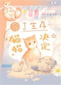为了生存猫猫决定番外