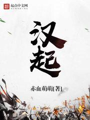 汉起新章