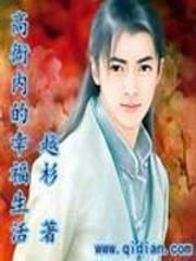高衙内新传优书网