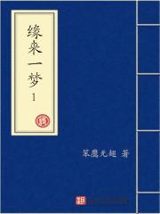 缘来不梦上期