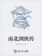 南北双侠决斗