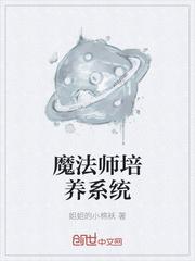 魔法师升级设定