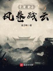 武道之风卷残云 夜宁峰
