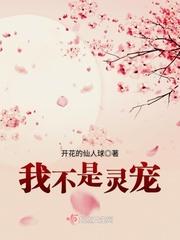 我不是精灵