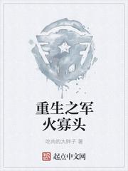 重生之军火狂妻免费阅读
