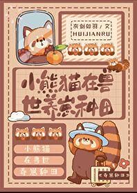 饲养小熊猫视频