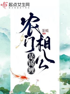 农门相公追妻忙免费阅读大结局