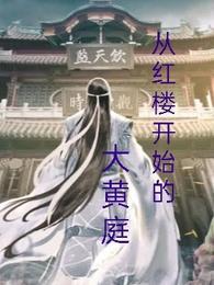 从红楼开始拯救名著