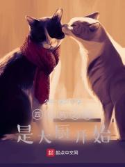 四合院之我是大厨开始连载