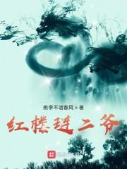 红楼琏二爷无弹窗 笔趣阁全本